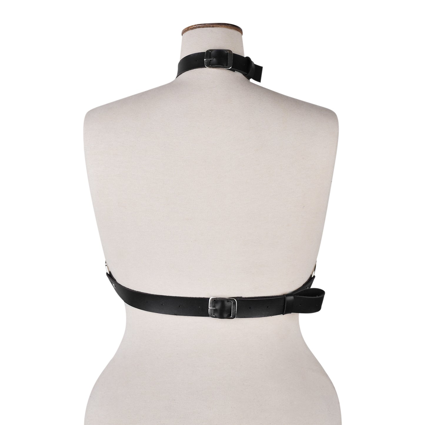Obsidian Web Harness