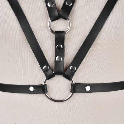 Obsidian Web Harness